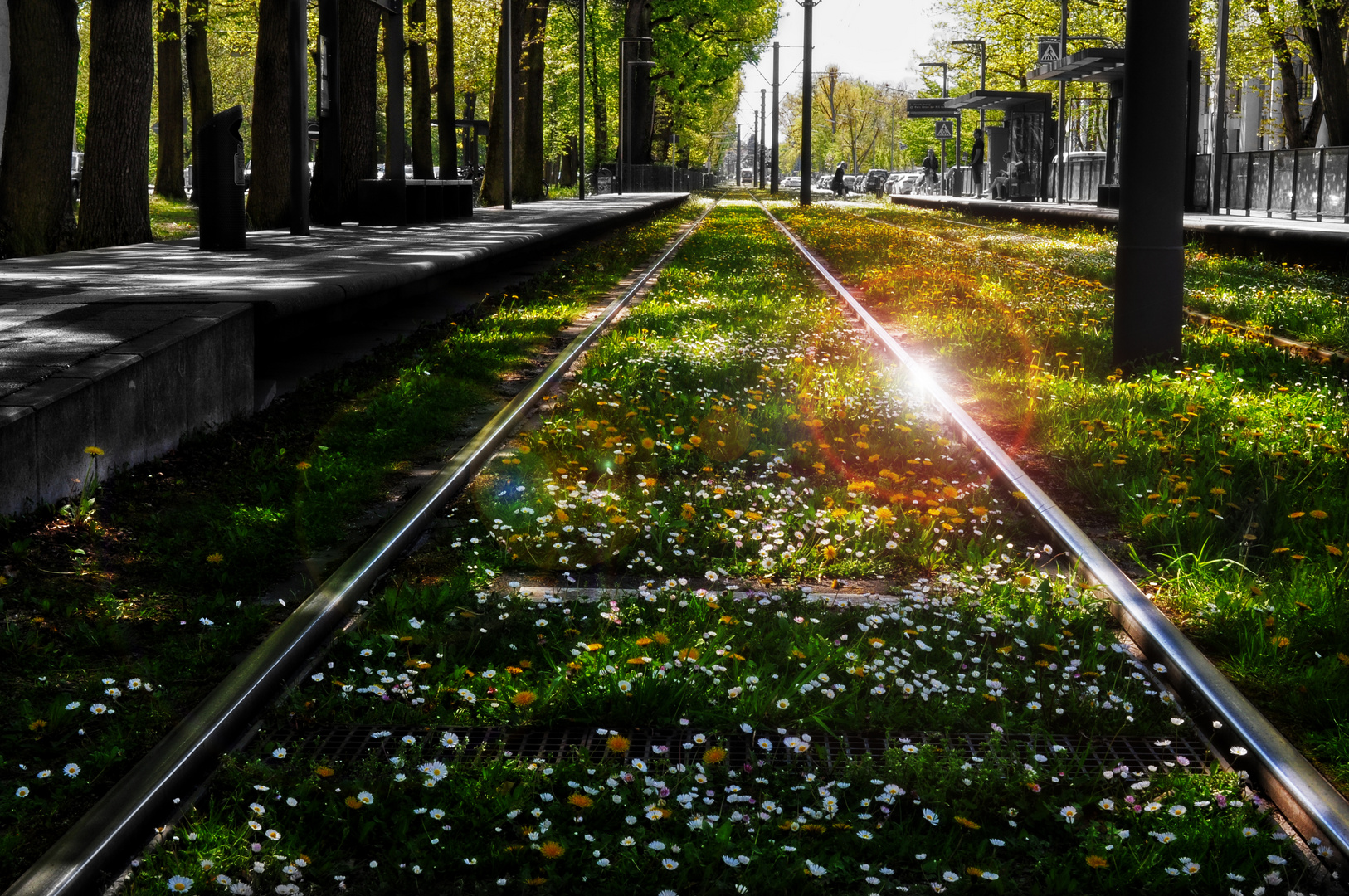 Frühling in der Stadt