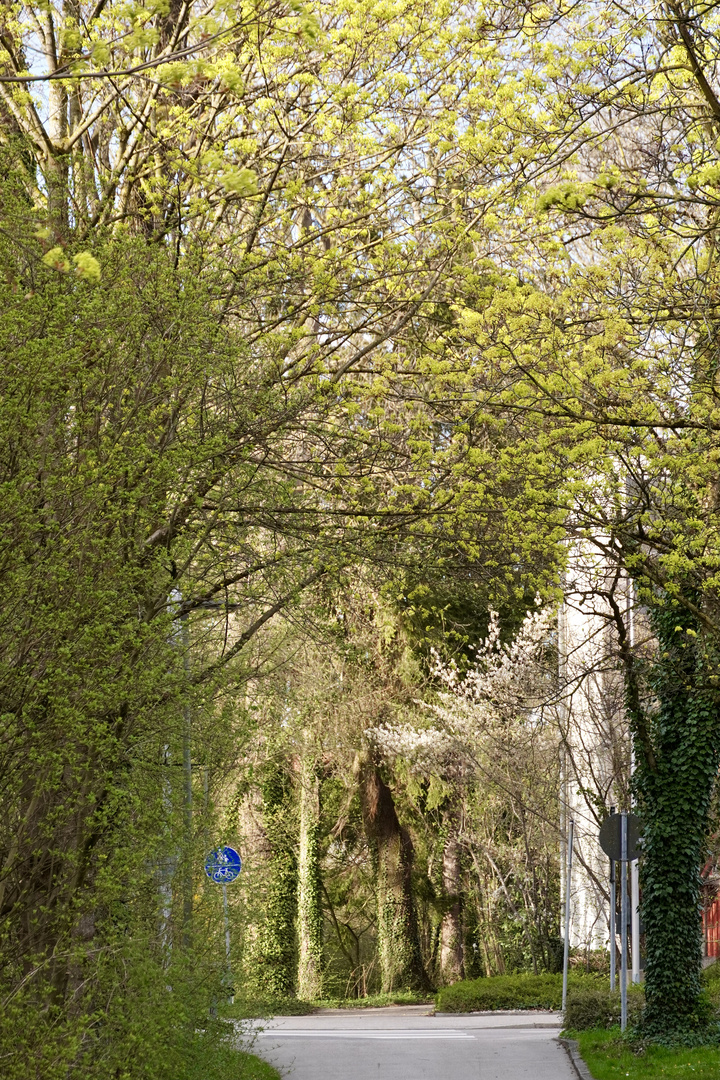 Frühling in der Stadt