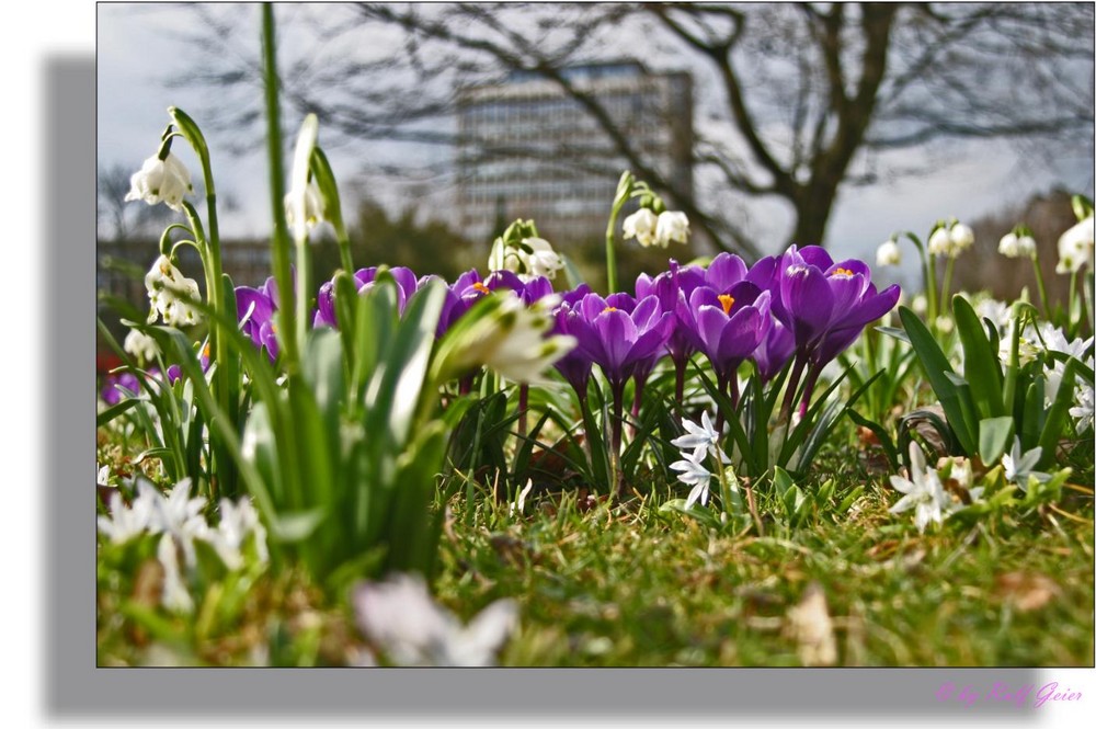 Frühling in der Stadt