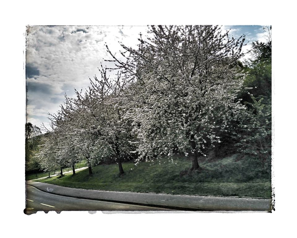 Frühling in der Stadt