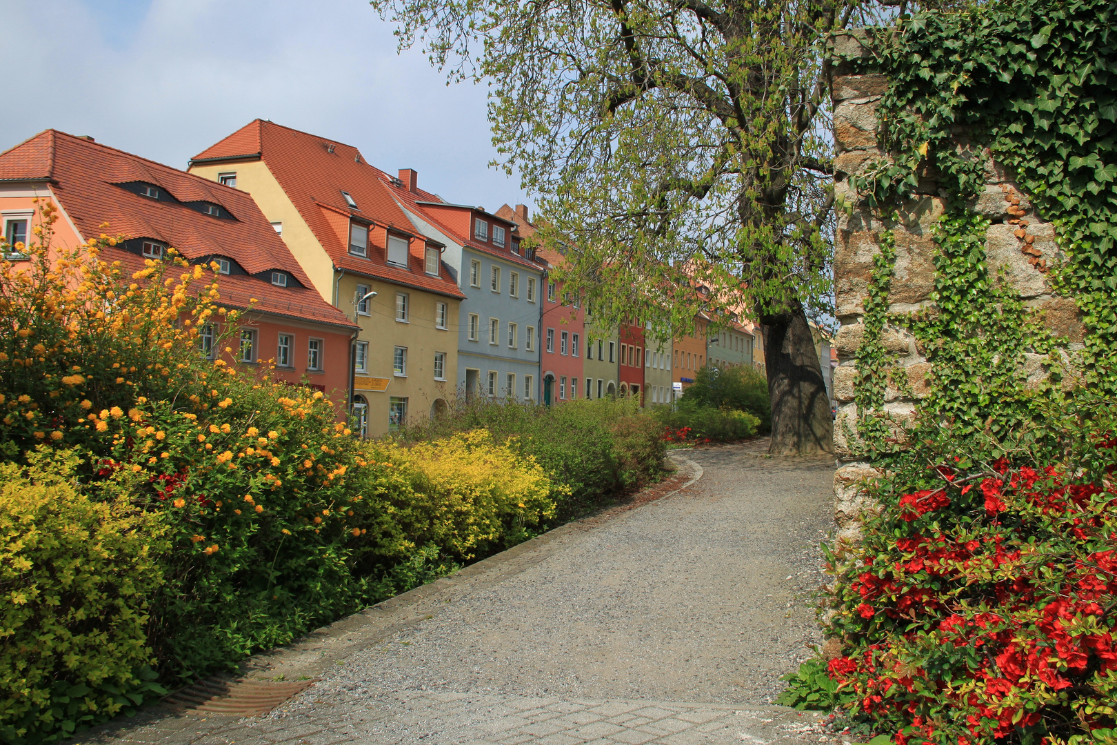 Frühling in der Stadt