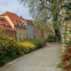 Frühling in der Stadt