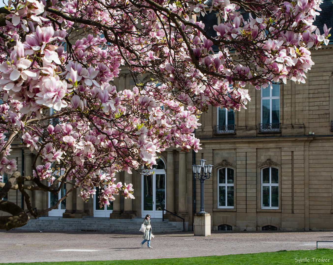 Frühling in der Stadt