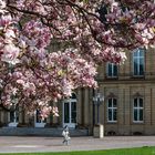 Frühling in der Stadt