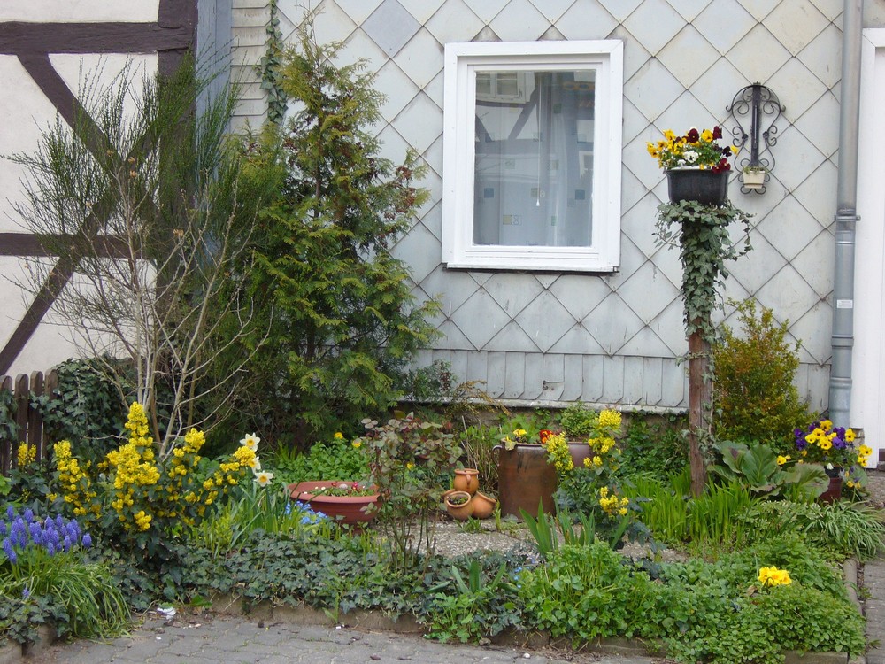 Frühling in der Stadt