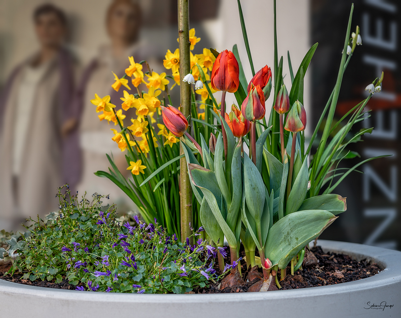 Frühling in der Stadt