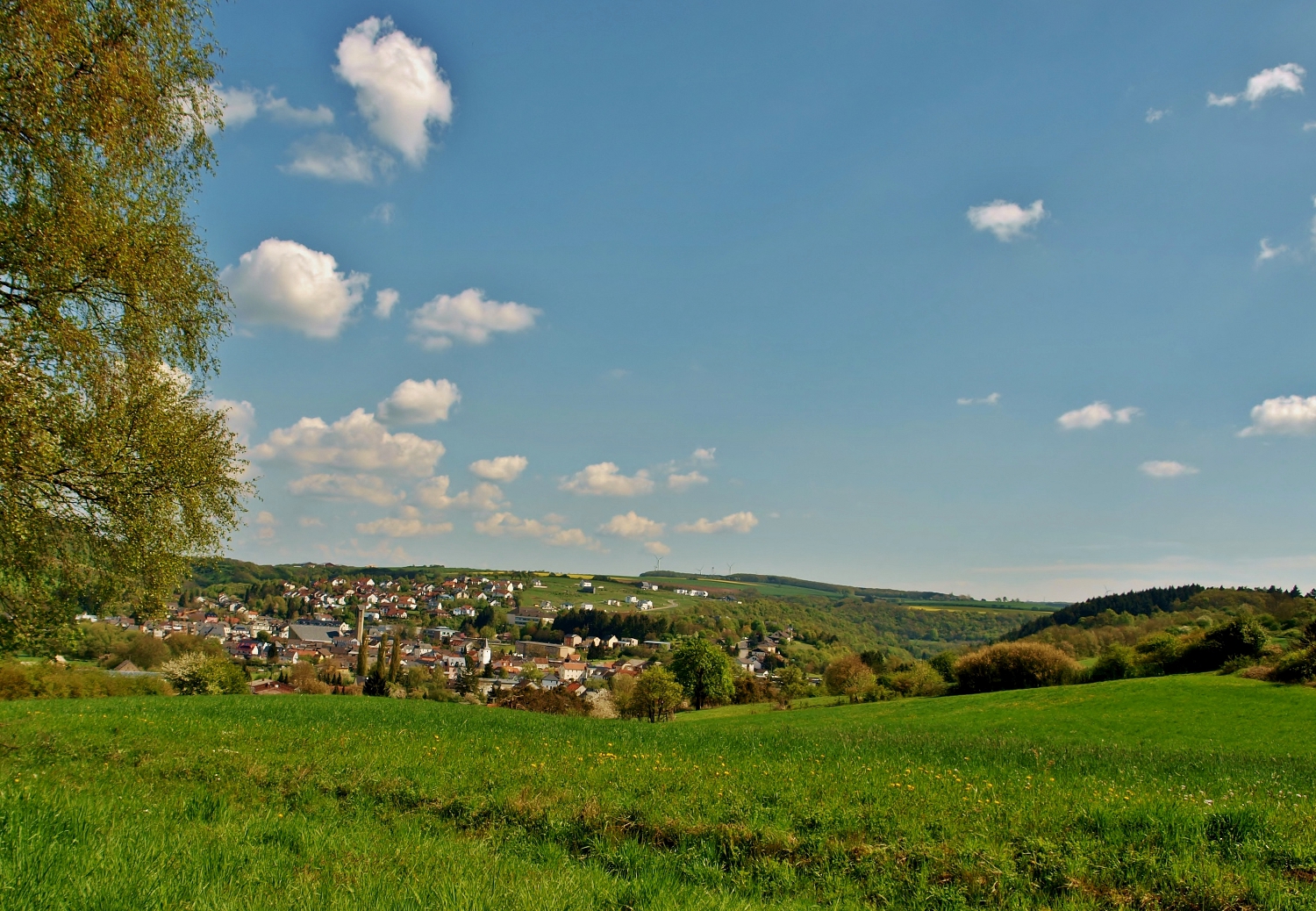 Frühling in der Südeifel