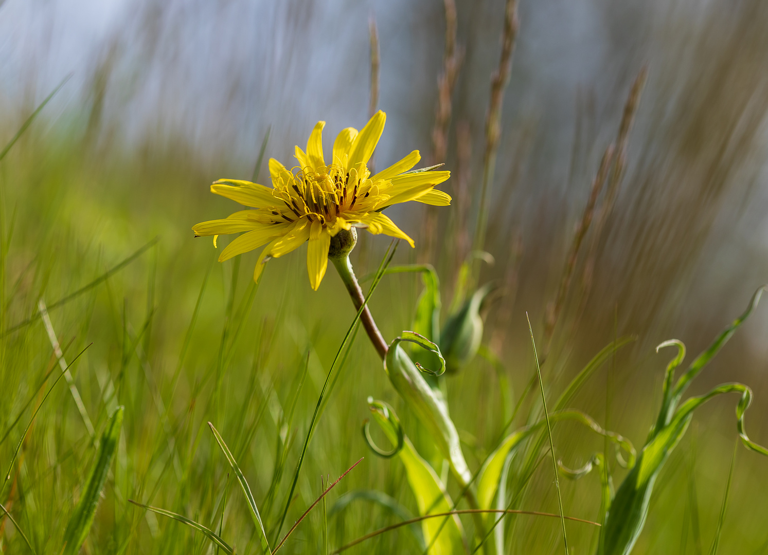 Frühling in der Südoststeiermark 2021