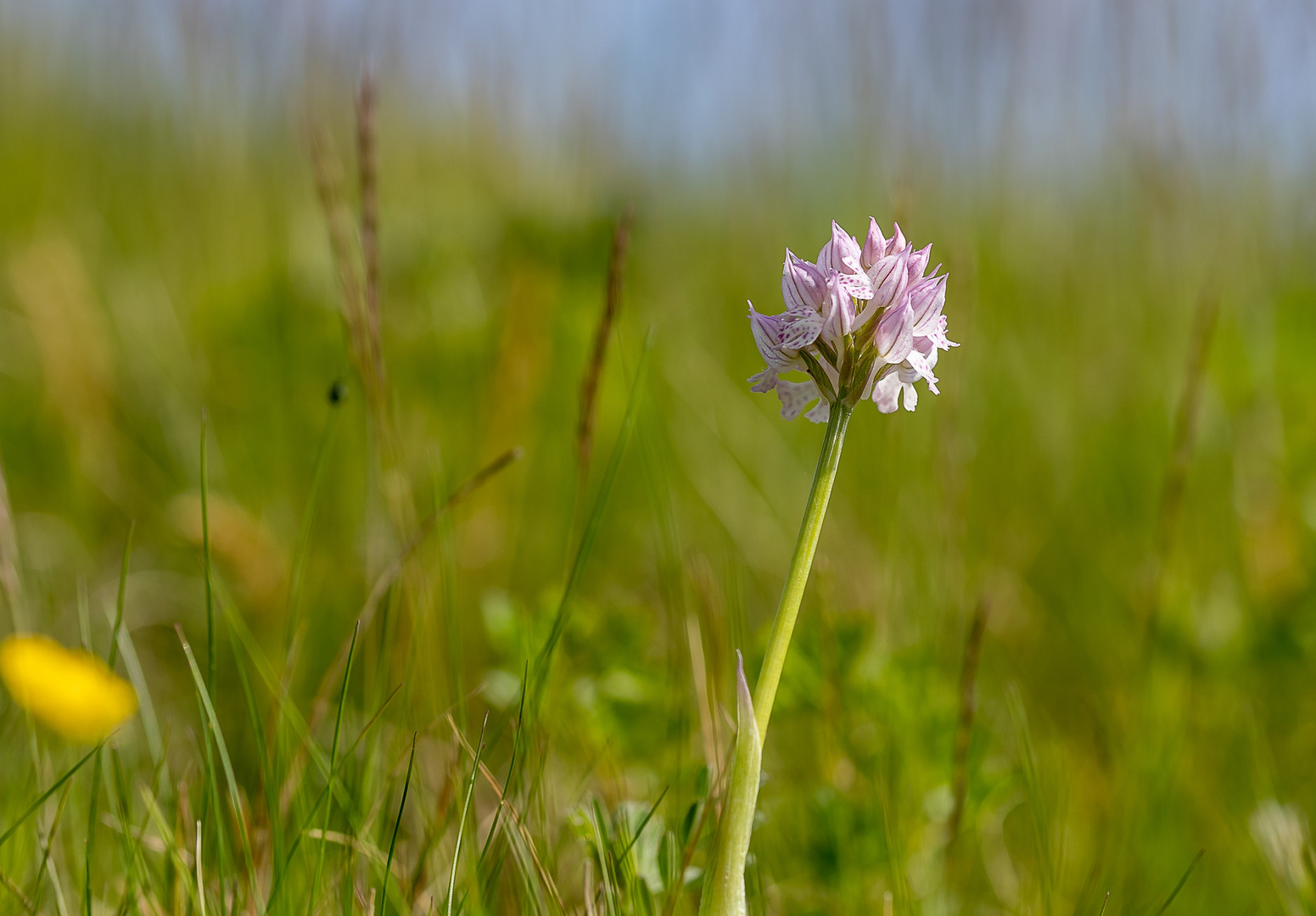 Frühling in der Südoststeiermark 2021