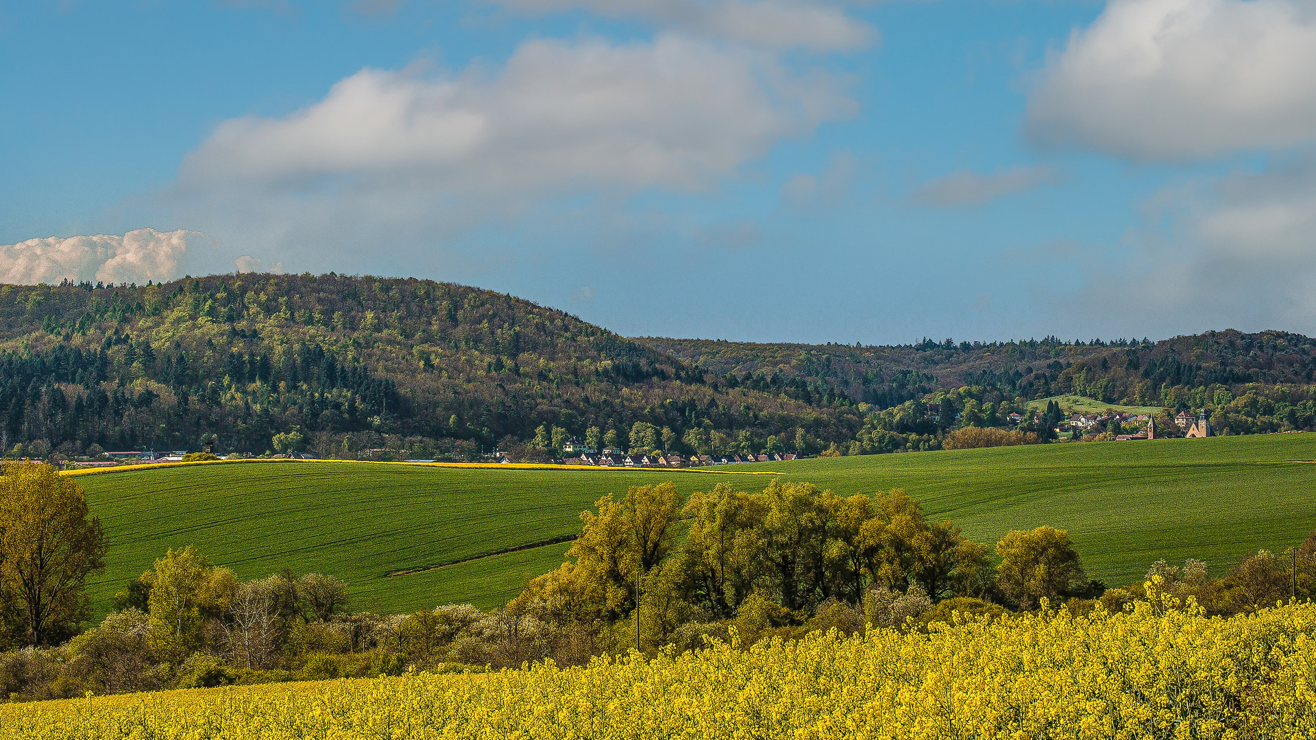 FRÜHLING IN DER SÜDPFALZ