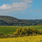 FRÜHLING IN DER SÜDPFALZ