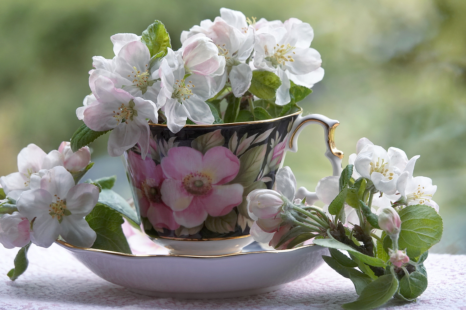 Frühling in der Tasse