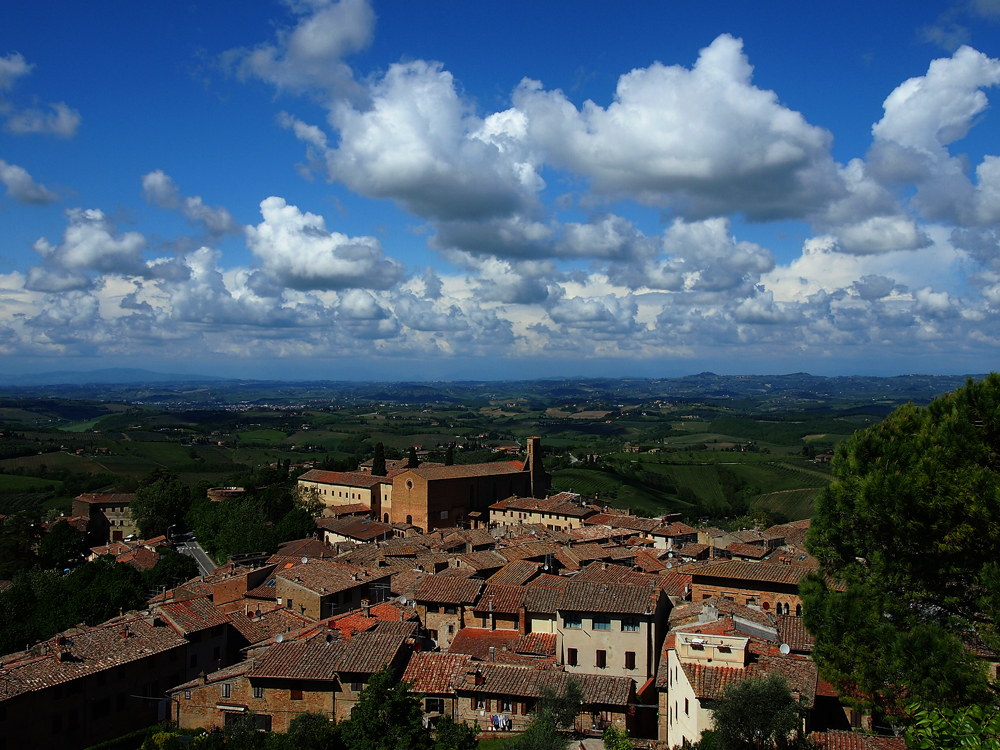 Frühling in der Toscana (1)