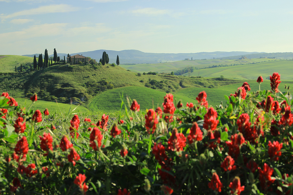 Frühling in der Toscana.