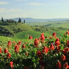 Frühling in der Toscana.