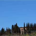 Frühling in der Toscana, dieses Blau wollte ich euch nicht vorenthalten