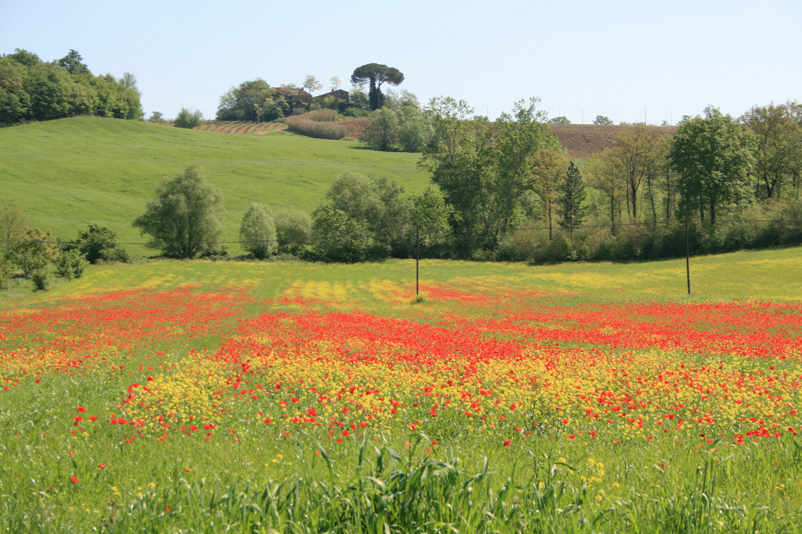 Frühling in der Toskana 2