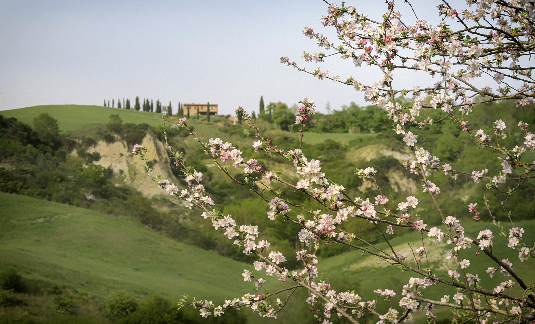 Frühling in der Toskana