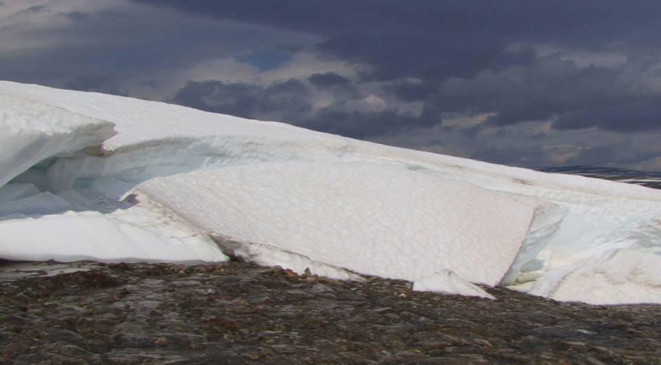 Frühling in der Tundra