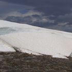 Frühling in der Tundra