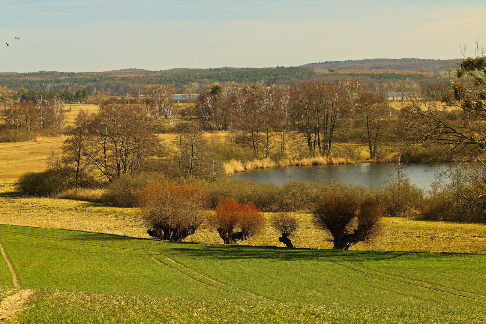 Frühling in der Uckermark