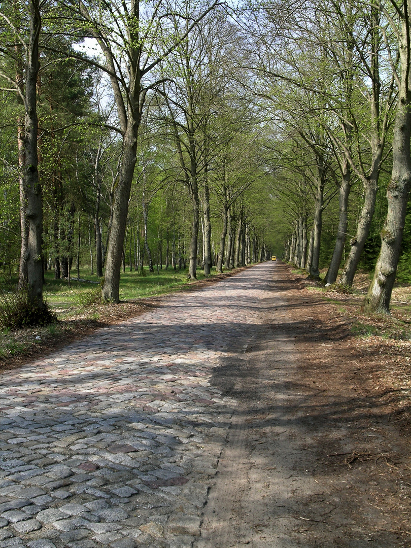 Frühling in der Uckermark