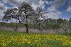 Frühling in der Uckermark