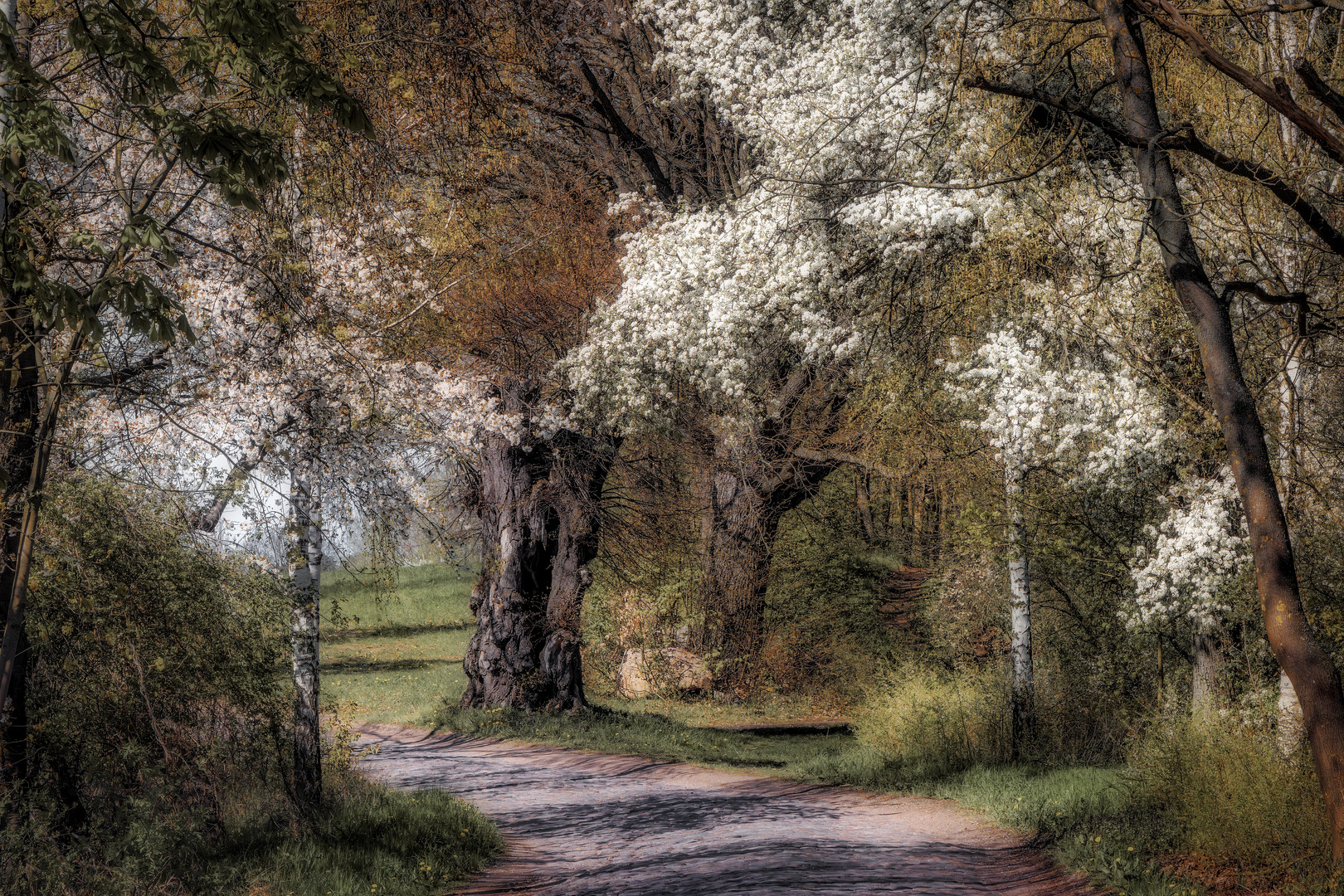 Frühling in der Uckermark