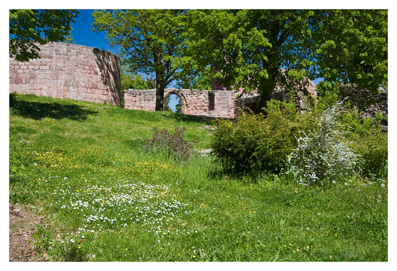 Frühling in der Unterburg