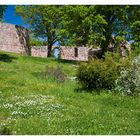 Frühling in der Unterburg