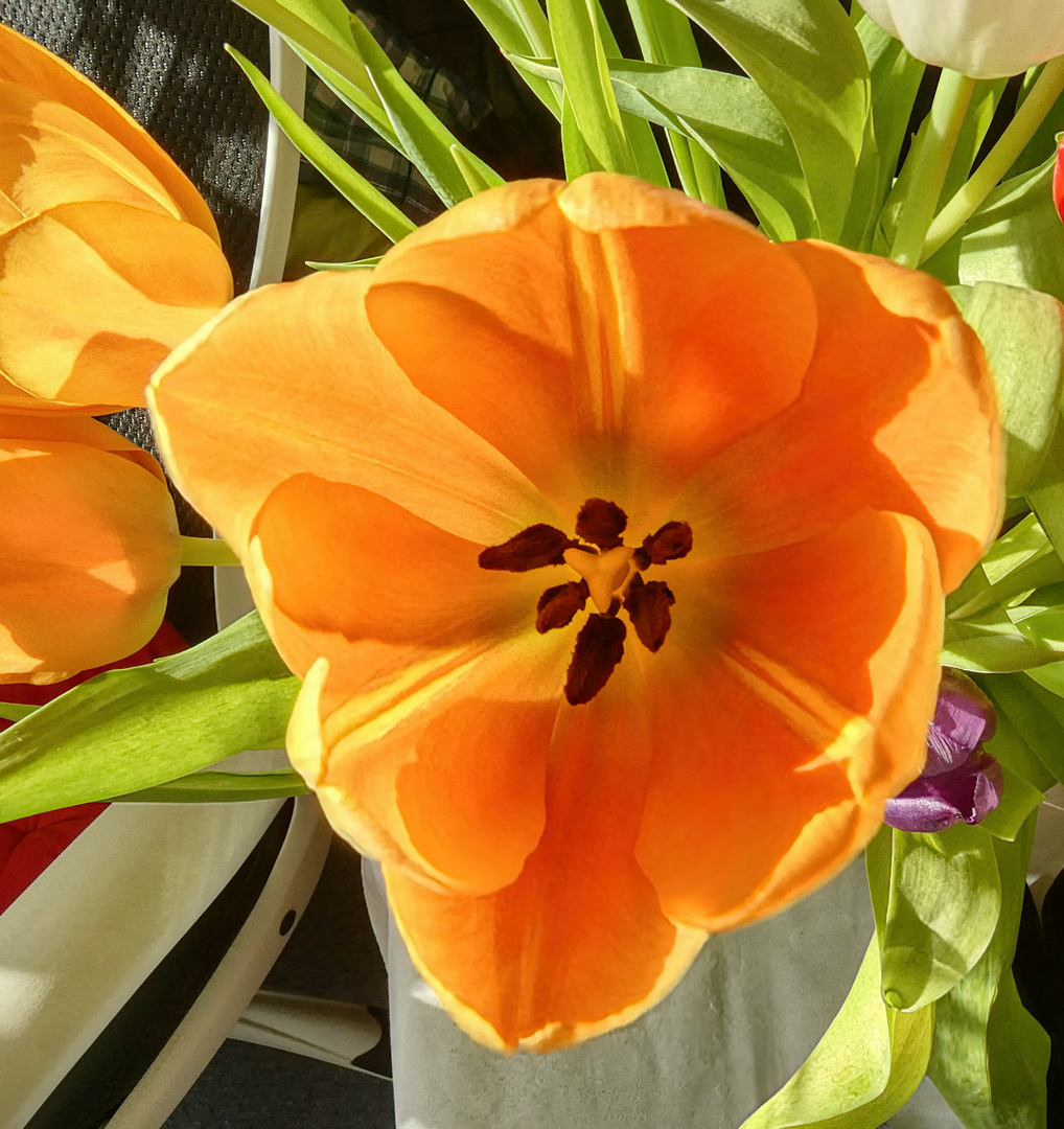 Frühling in der Vase