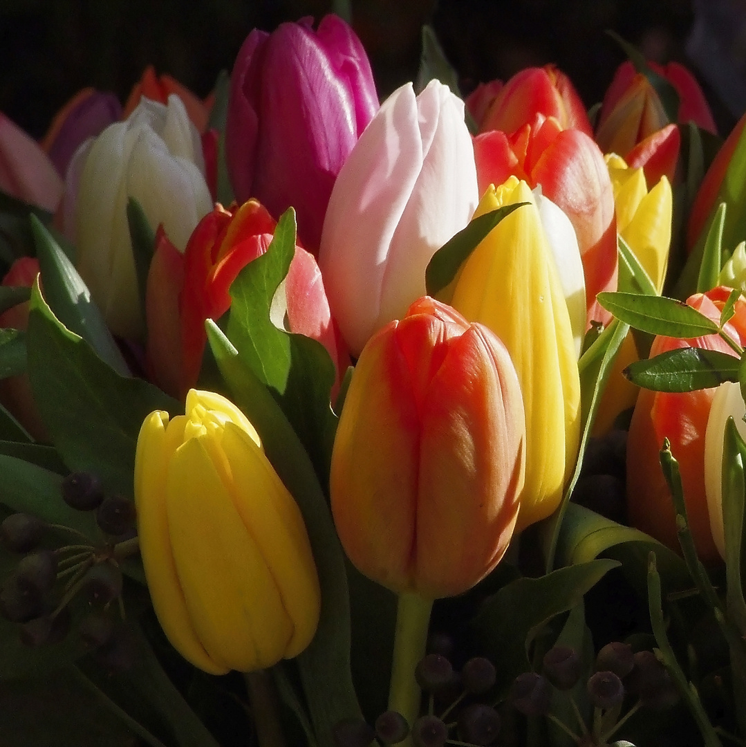 Frühling in der Vase