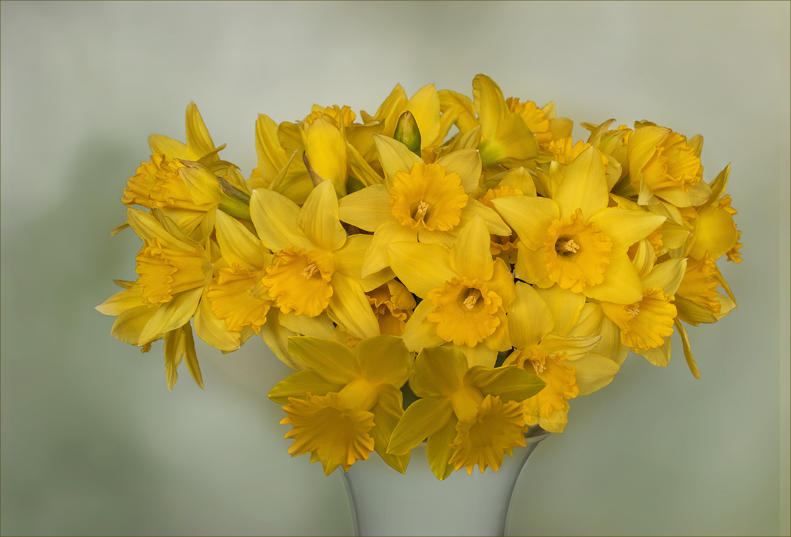 Frühling in der Vase... II. - Narzissen-Potpourri..