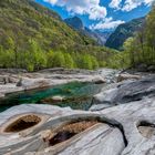 Frühling in der Verzasca