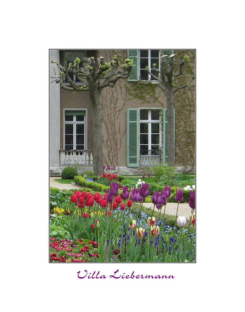 Frühling in der Villa Liebermann II