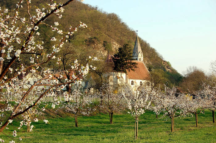 Frühling in der Wachau