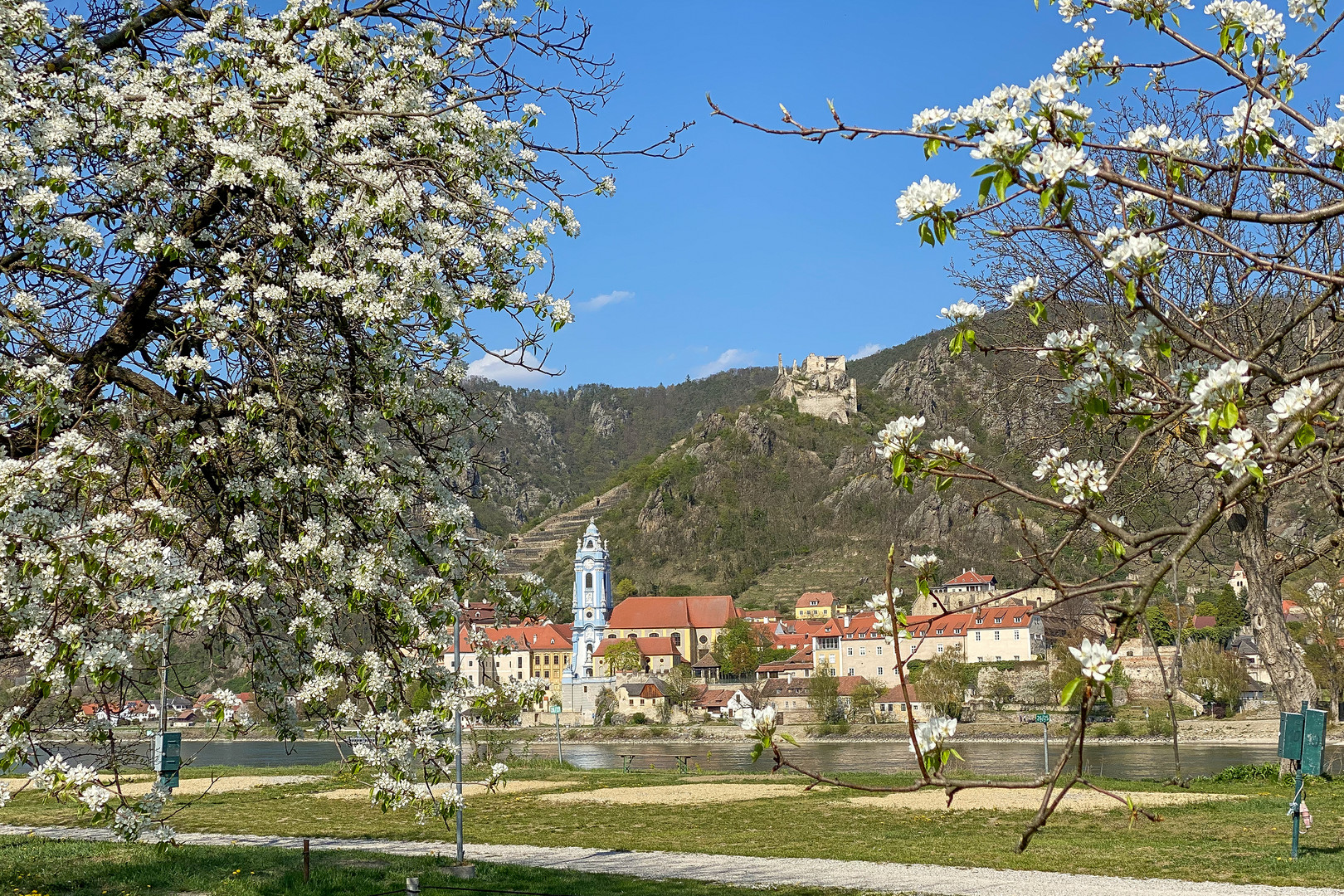 Frühling in der Wachau