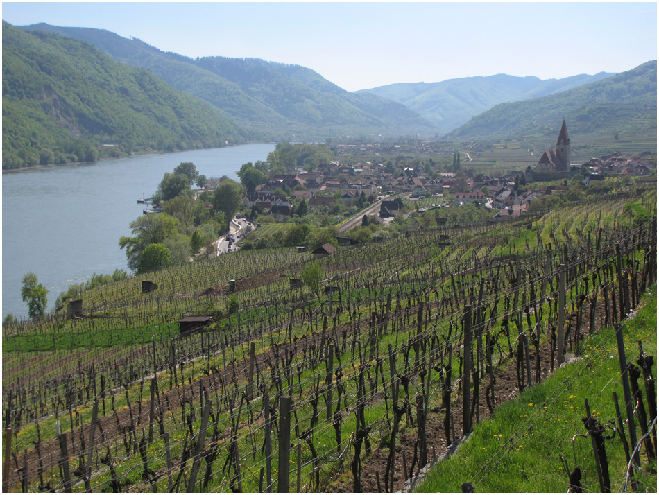 Frühling in der Wachau