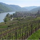 Frühling in der Wachau