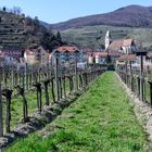 Frühling in der Wachau ...