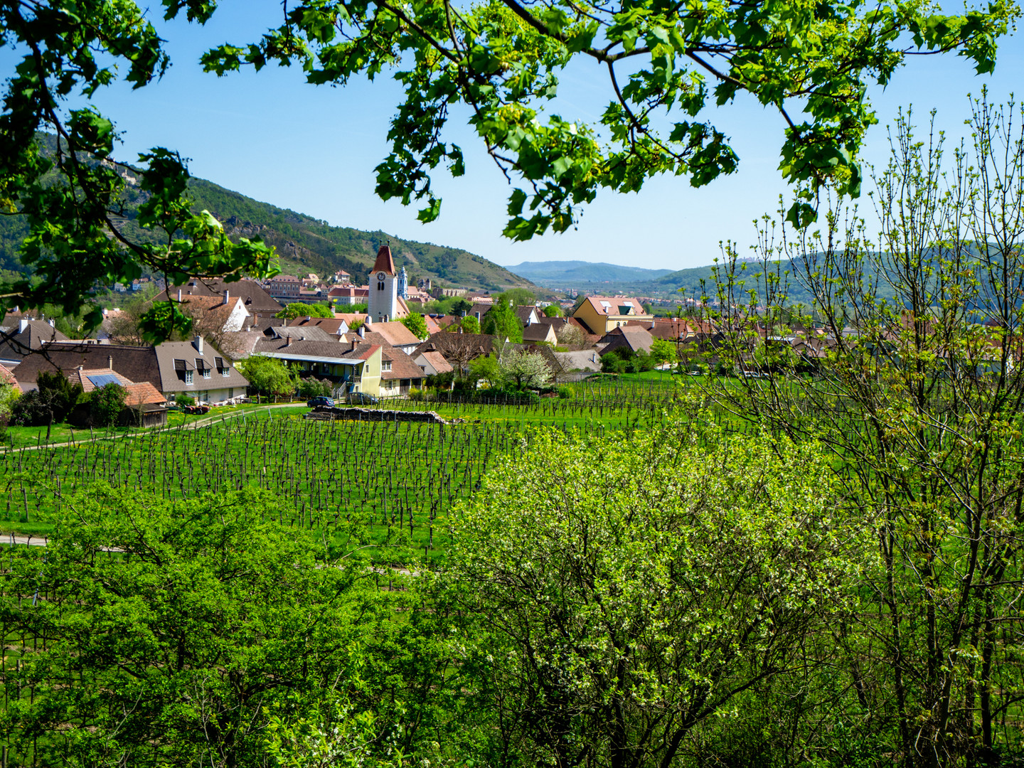 Frühling in der Wachau