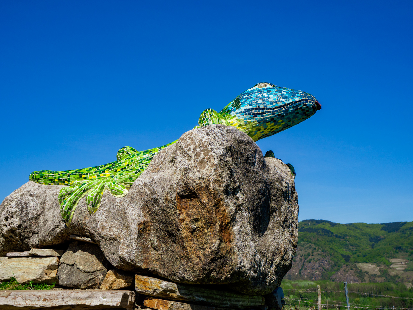 Frühling in der Wachau