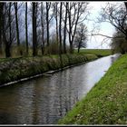 Frühling in der Wedeler Marsch