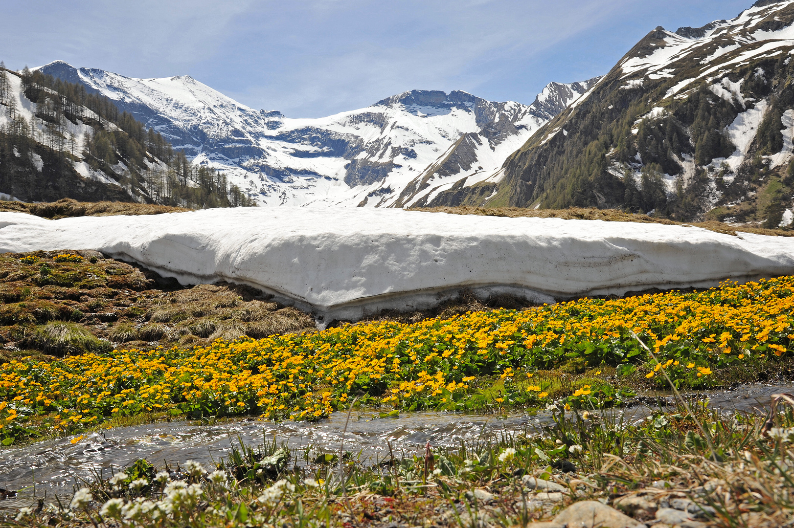 Frühling in der Welt der Dreitausender