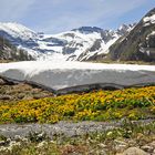 Frühling in der Welt der Dreitausender