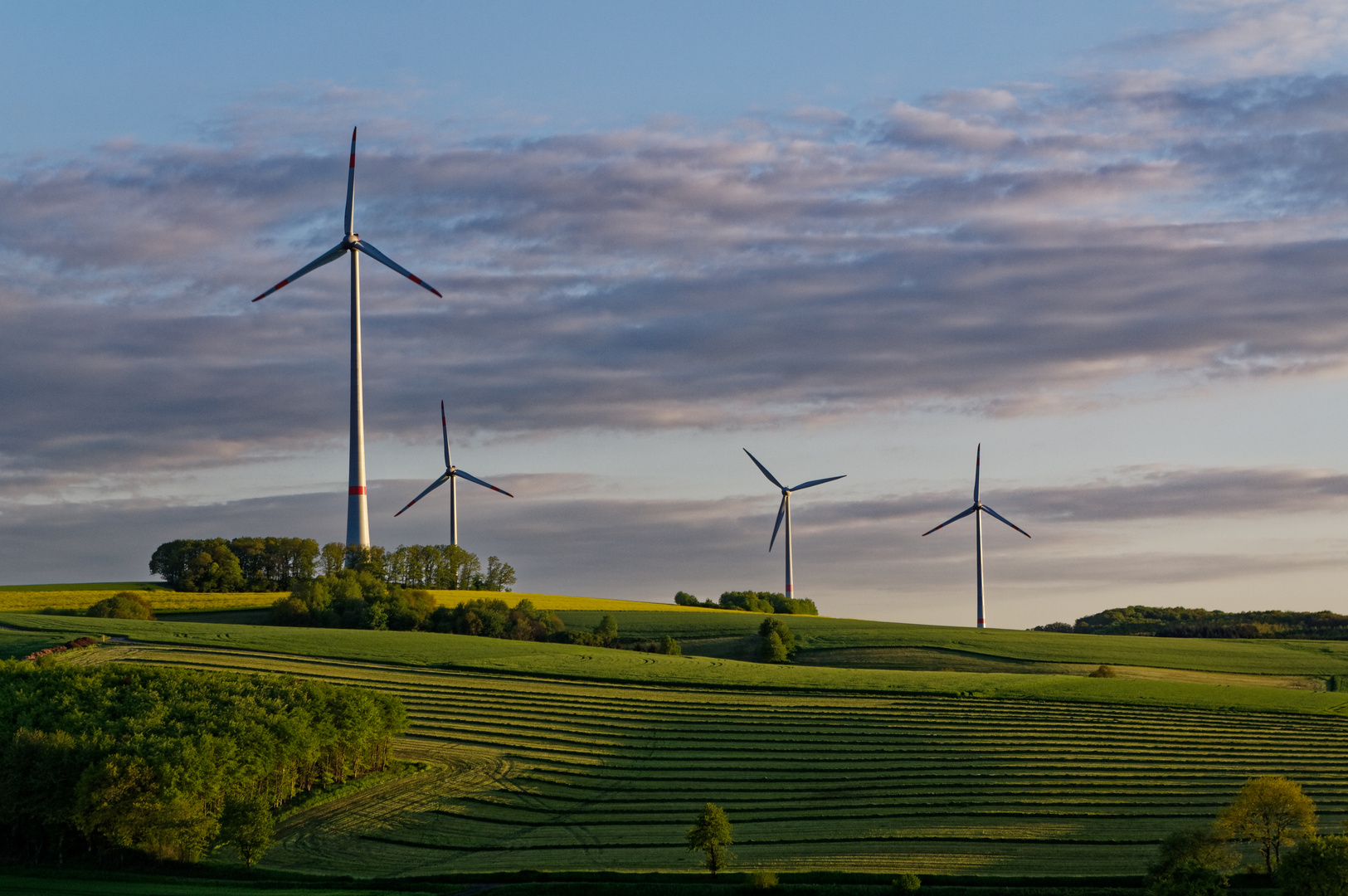 Frühling in der Westpfalz