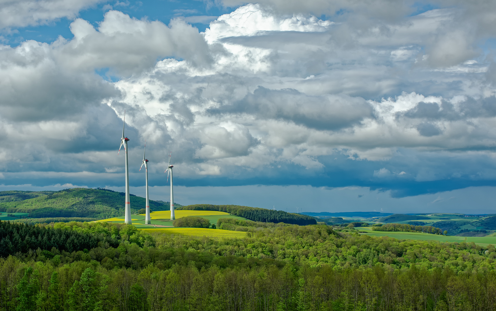 Frühling in der Westpfalz