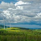 Frühling in der Westpfalz