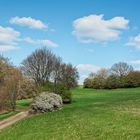 Frühling in der Westpfalz