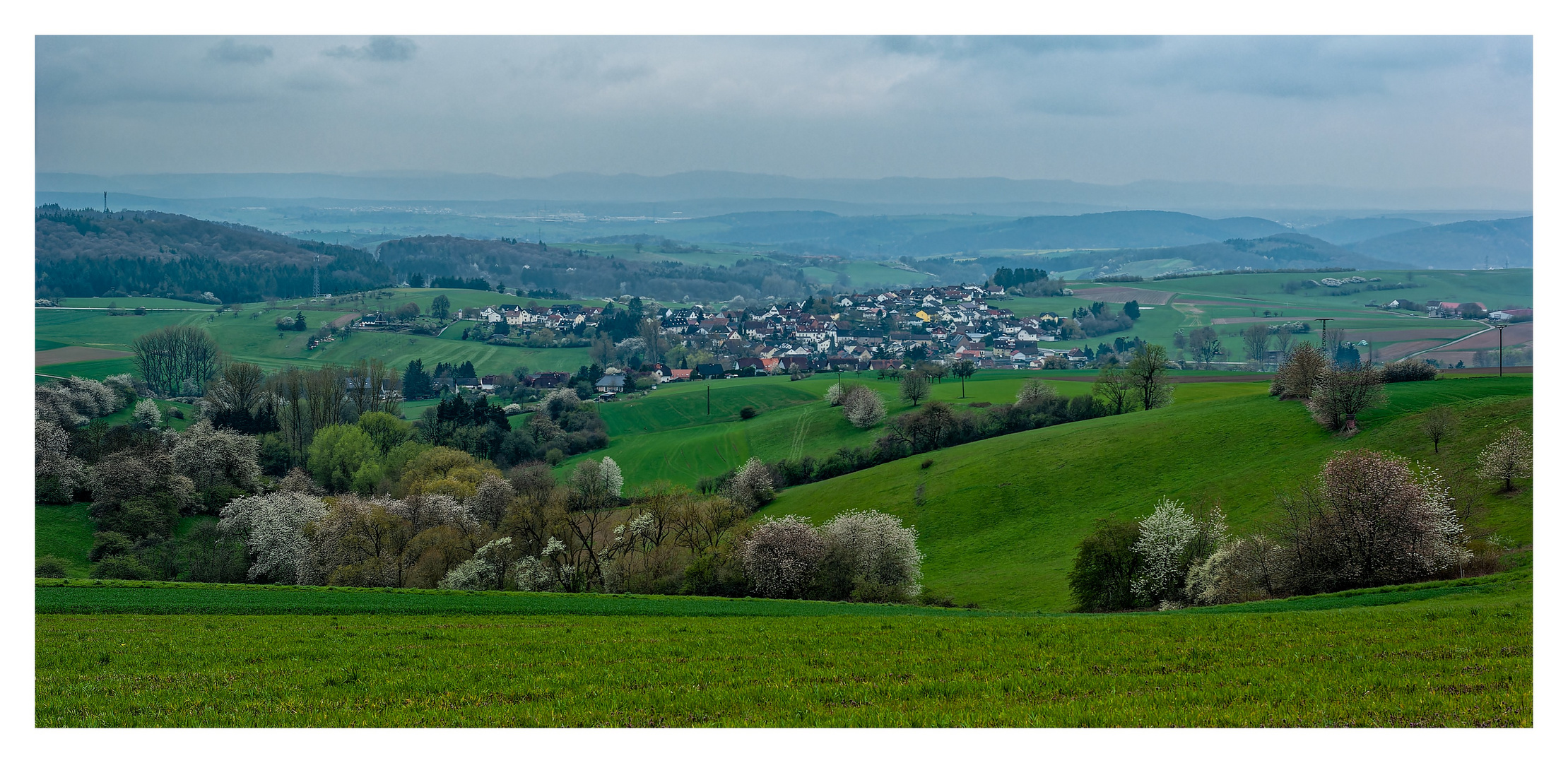 Frühling in der Westpfalz